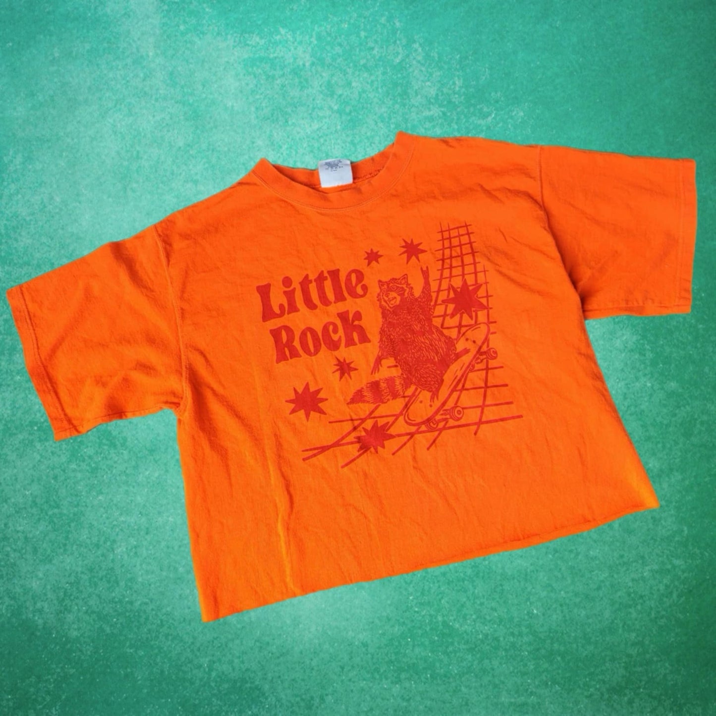 M: Little Rock Raccoon Tee