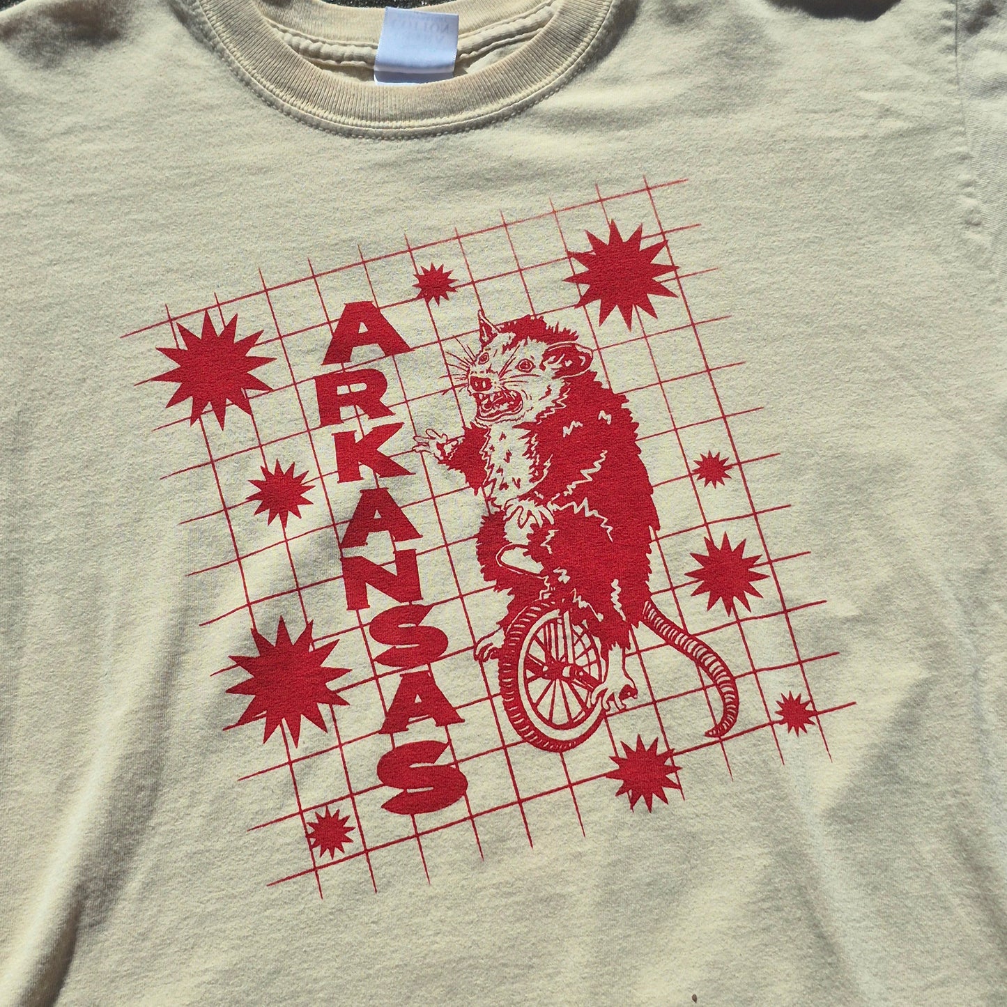 M: Arkansas Tee