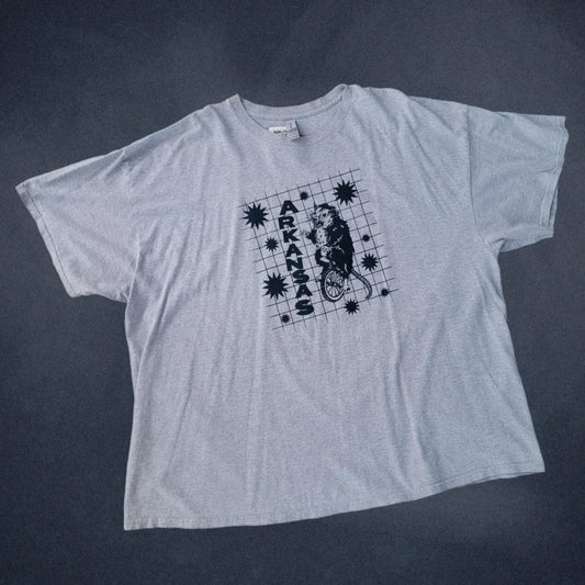 3XL: Arkansas Tee