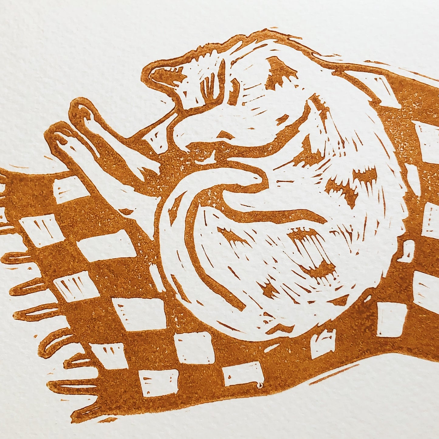 ‘Cat Nap’ Relief Print