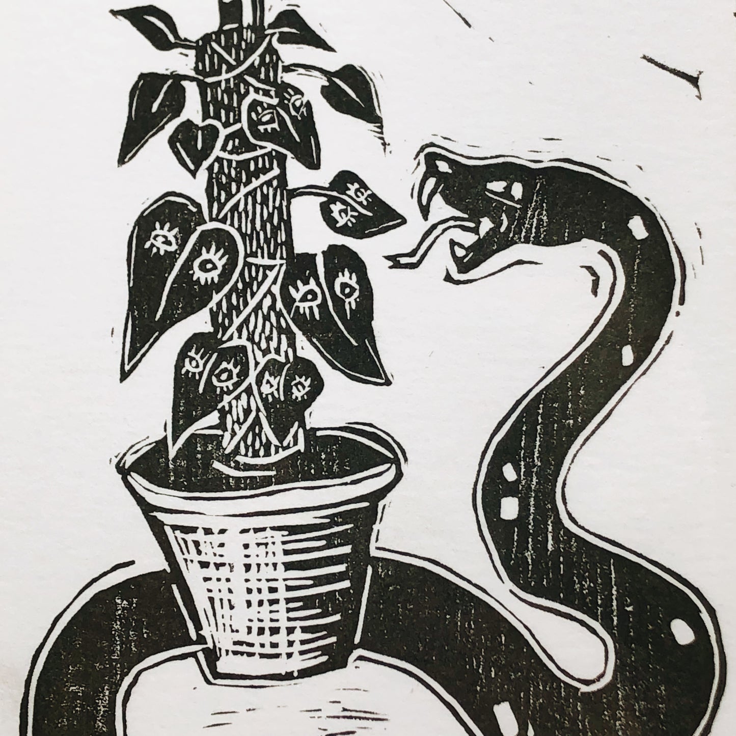 ‘Snake Plant’ Relief Print