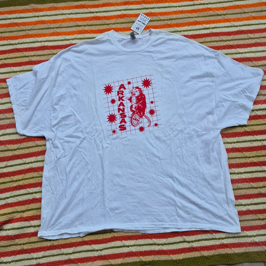 5XL: Arkansas Tee