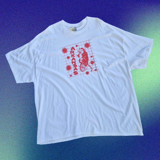 4XL: Arkansas Tee