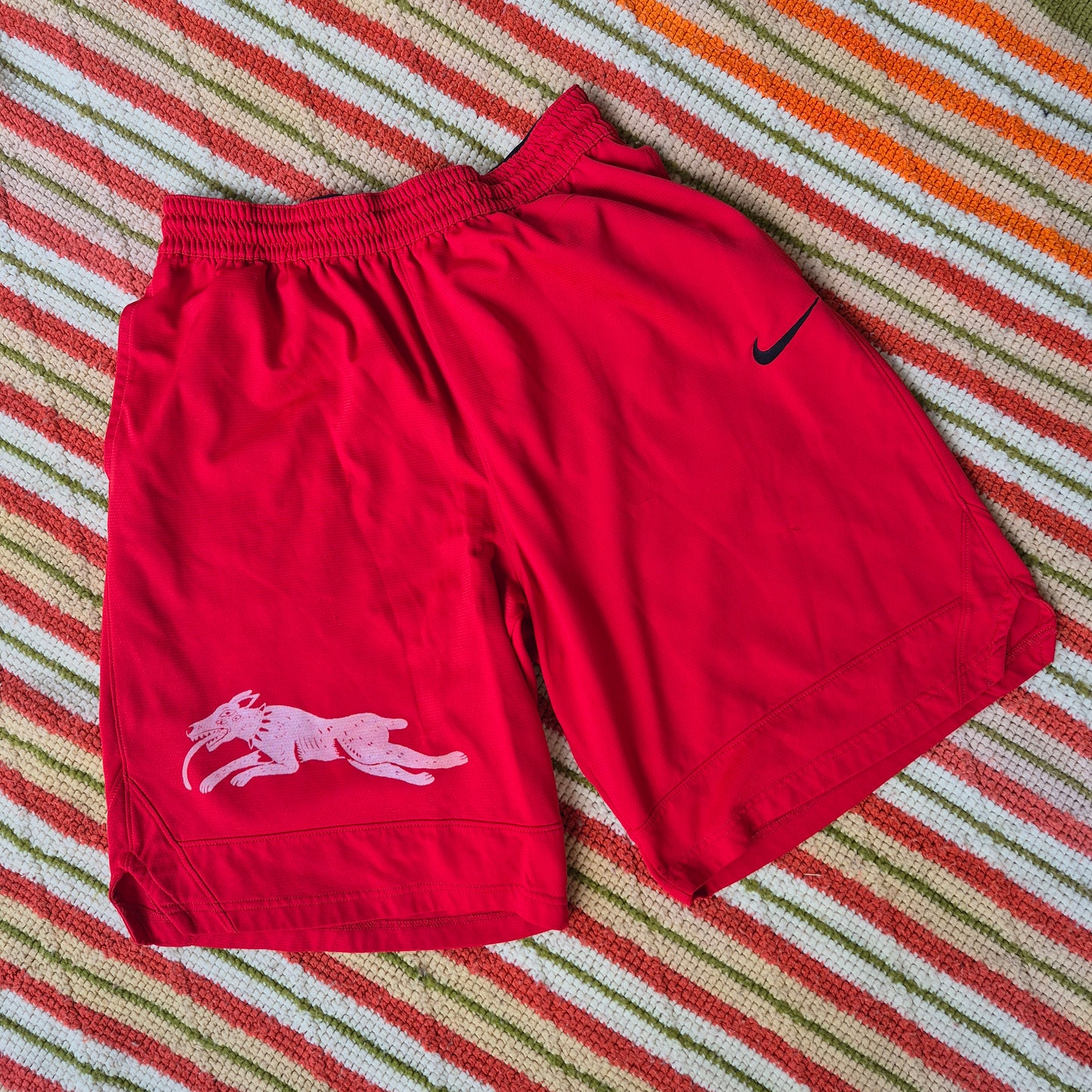 (Youth?) XL: Demon Dog Basketball Shorts