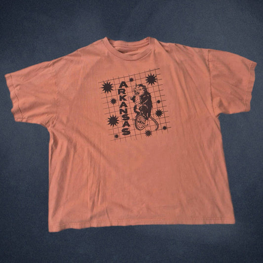 2X: Arkansas Tee