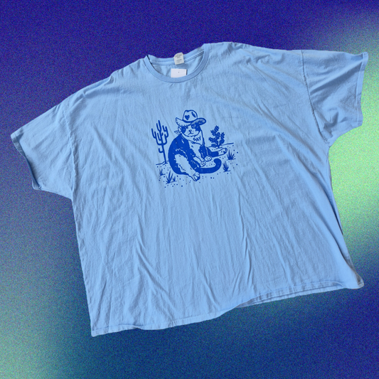 6XL: Howdy Cutie Tee