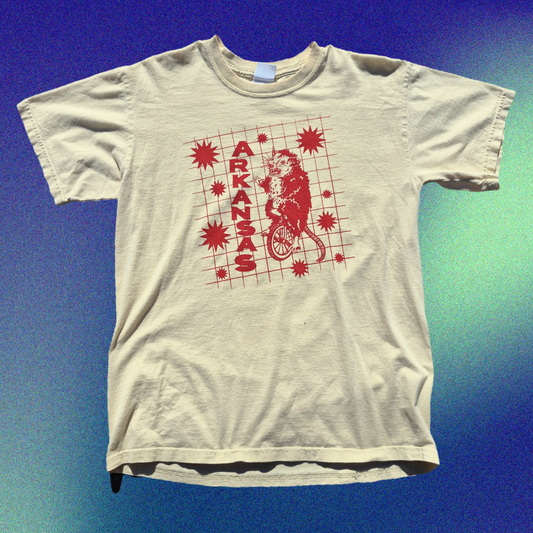 M: Arkansas Tee
